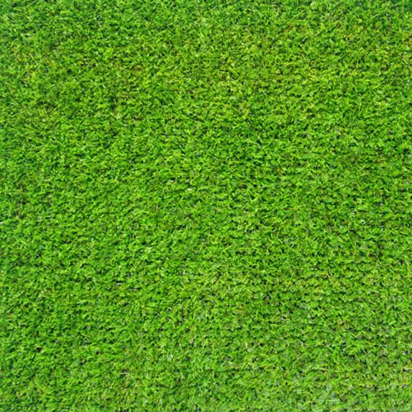 EVO-ELITE-08-2 EVO ELITE 08 - Image 1