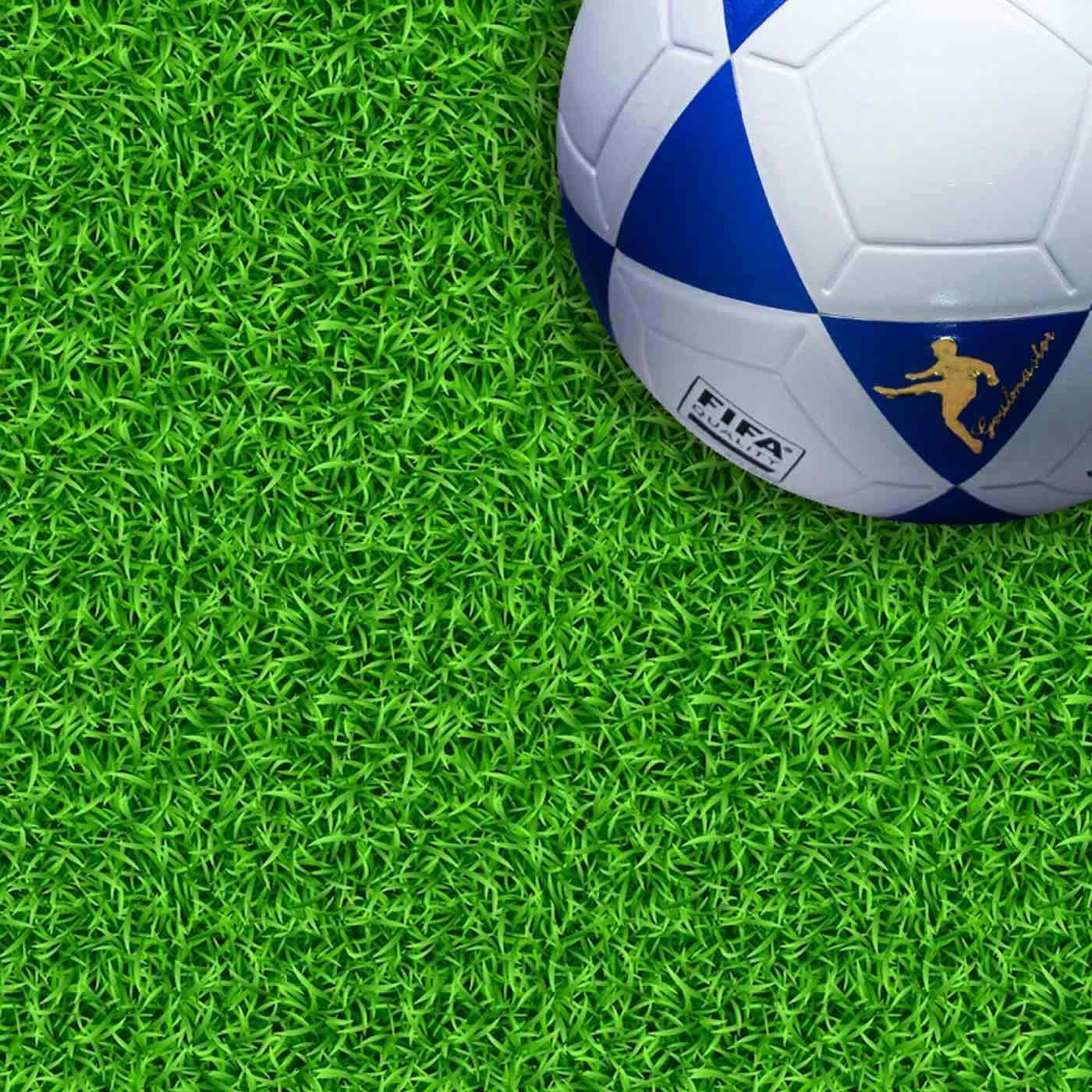 EVO-SOCCER-12 Evo Soccer - Image 1