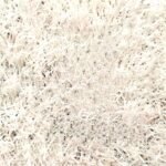 Evo Soccer - Image 7