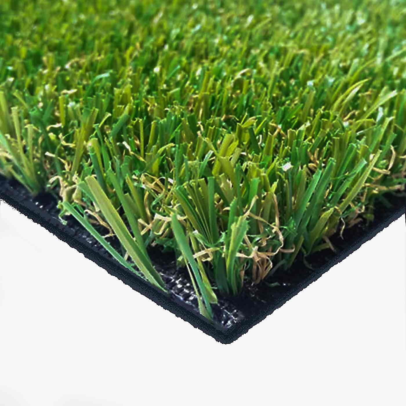 EVO-SUMMER-20-1 Evo Summer 25 Dm - Image 1