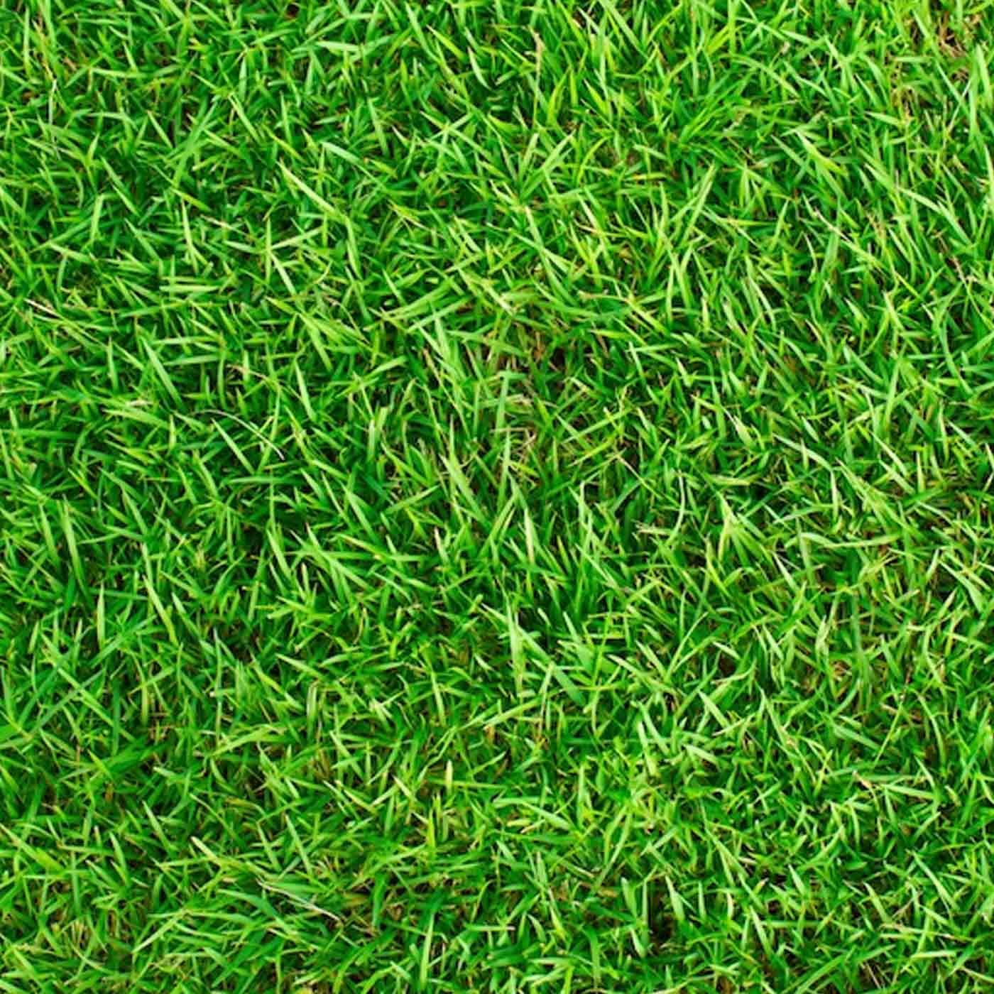 EVO-SUMMER-20-2 EVO SUMMER 20 - Image 1