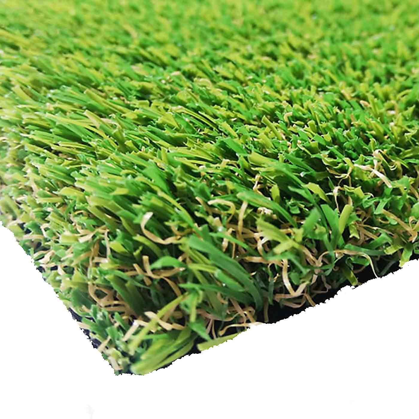 EVO-SUMMER-30-1 EVO SUMMER 30 - Image 1