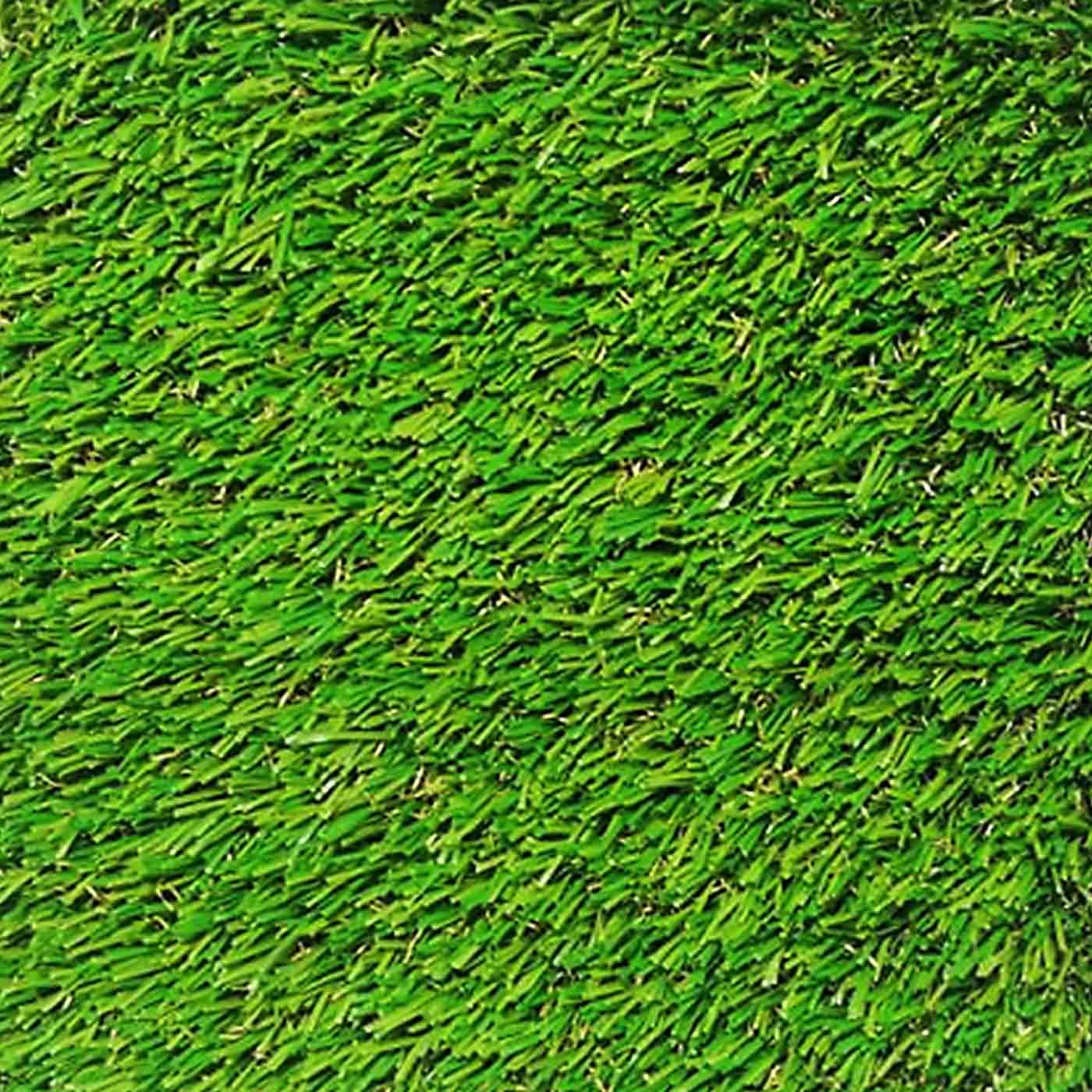 EVO-SUMMER-30-2 EVO SUMMER 30 - Image 1