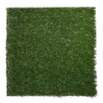 EVO SUMMER 20 - Image 2