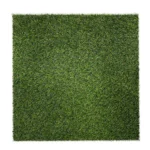 EVO SUMMER 30 - Image 2