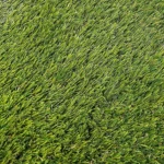 EVO SUMMER 30 - Image 4