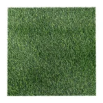 Evo Summer 25 Dm - Image 2