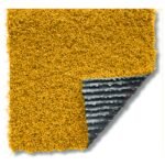 Evo Summer 25 Color - Image 2